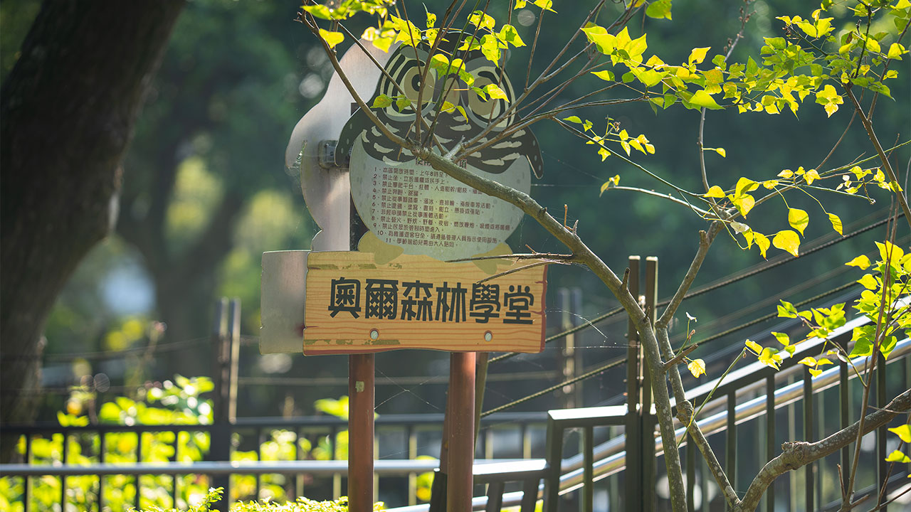 奧爾森林學堂